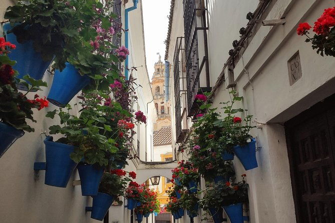 private-cordoba-highlights-walking-tour-2