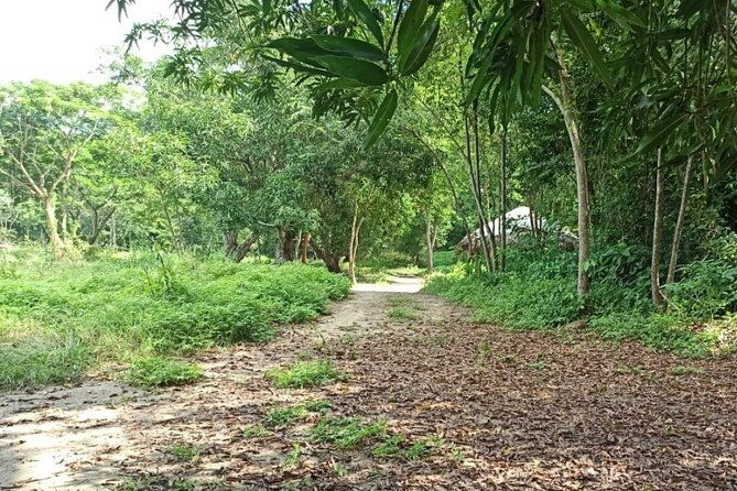 private-cotton-top-tamarin-adventure-tour