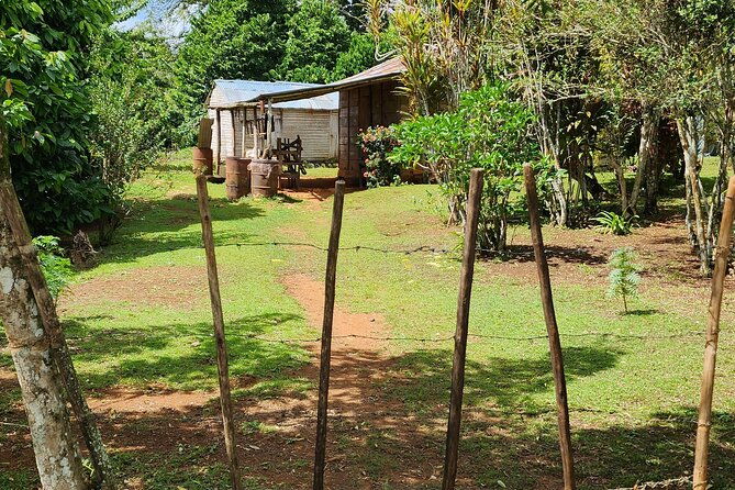 private-countryside-tour-from-puerto-plata-with-pickup-included