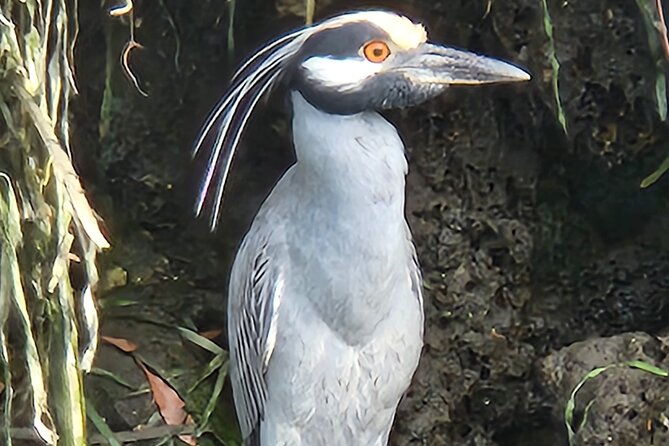 private-crystal-river-wildlife-boat-tour