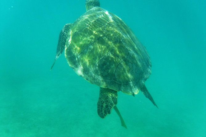 private-day-sail-snorkel-with-virgin-islands-day-sailing-6-guest-max