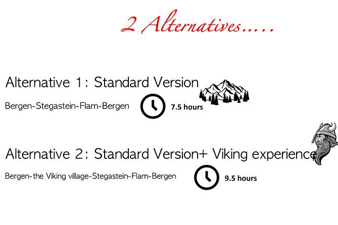 private-day-tour-to-flam-and-stegastein-2