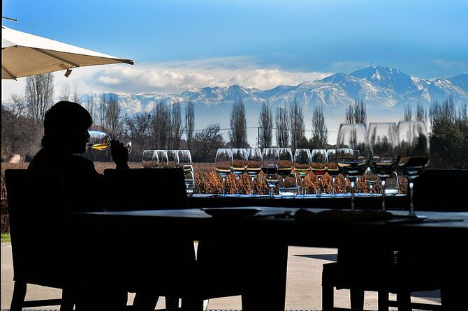 private-day-trip-mendoza-wineries-opt-airfare-from-buenos-aires