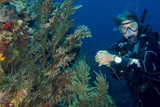 private-discover-scuba-diving