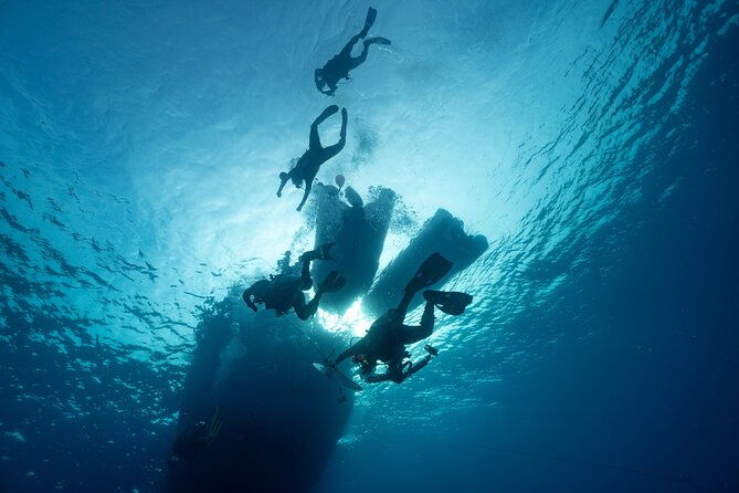 private-discovery-scuba-diving-with-sea-turtles