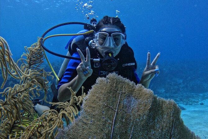 private-diving-experience-for-beginners-in-san-andres-islands