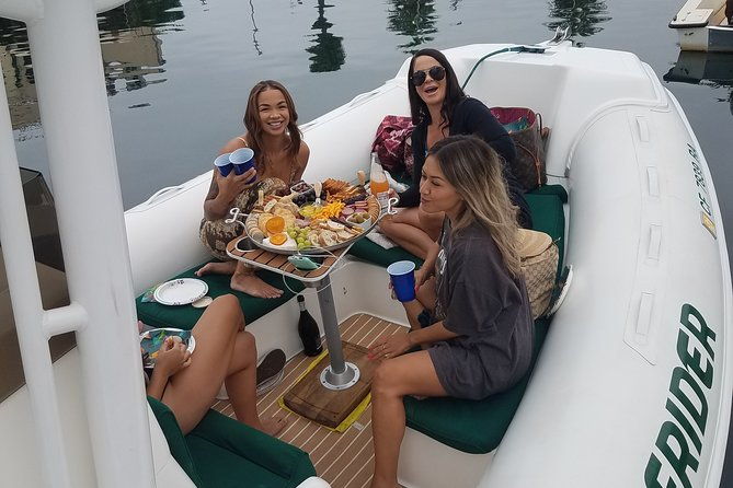 private-dolphin-and-whale-watching-tour-in-newport-beach