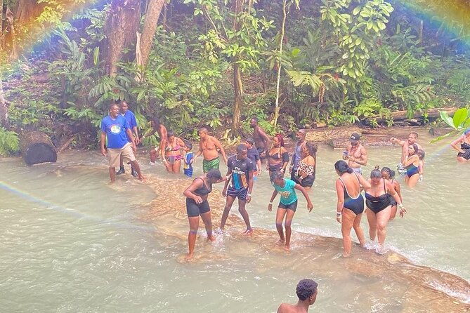 private-dunn-river-falls-and-park-tour-from-montego-bay