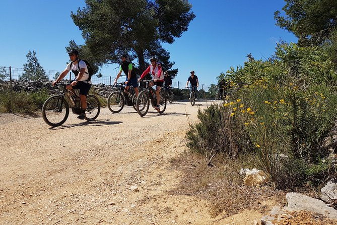 private-ebike-tour-to-calanques-or-city