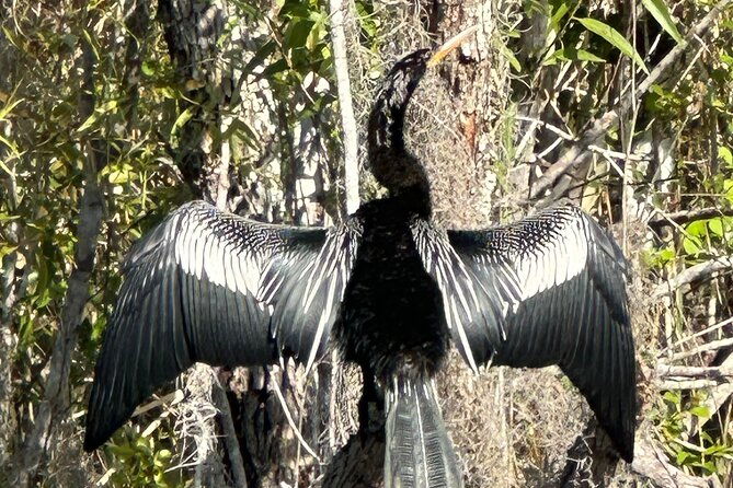 private-everglades-kayak-tour-see-the-real-everglades-with-us
