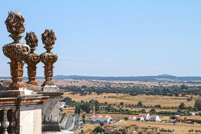 private-evora-tour-megaliths-historical-center-and-cork-region