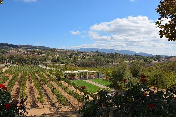 private-excursion-from-orange-county-including-lunch-tastings