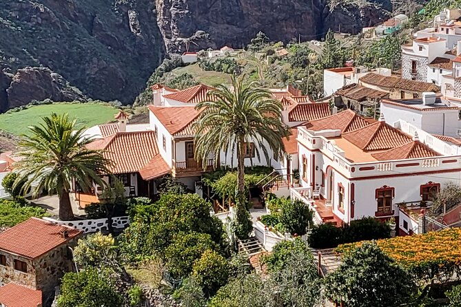 private-excursion-the-mountains-of-gran-canaria-for-2-to-4-people