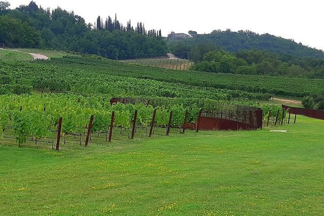 private-excursion-volterra-san-gimignano-wine-tastings-from-livorno-port