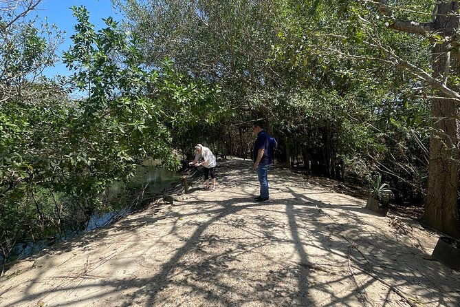 private-experience-at-the-national-aviary-of-colombia