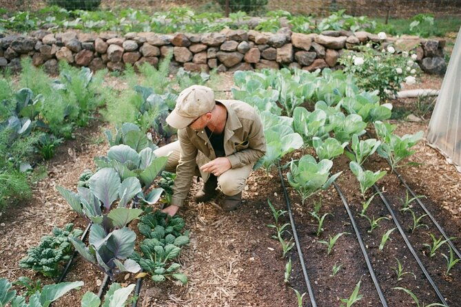 private-farm-workshop-in-napa-valley