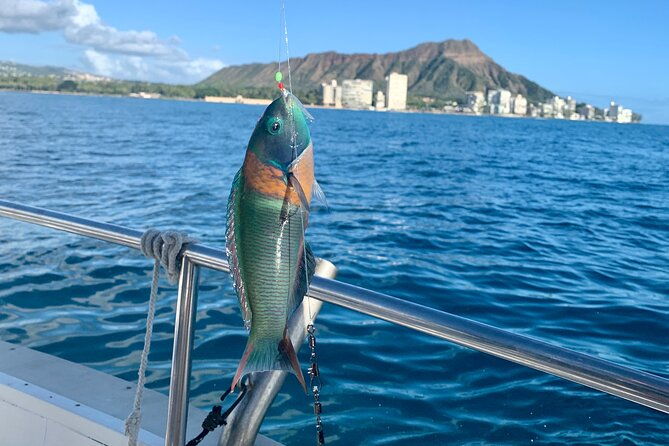 private-fishing-charter-for-family-and-friends-in-honolulu