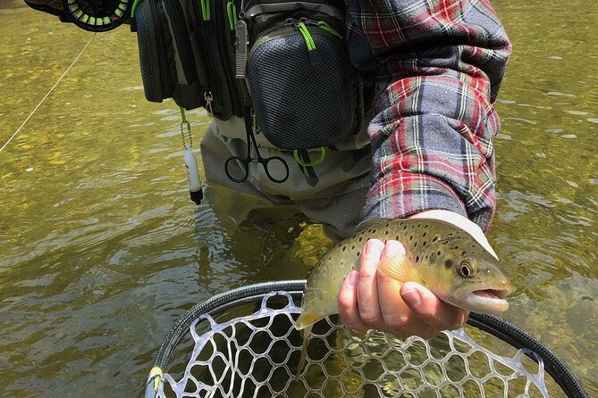 private-full-day-fly-fishing-for-beginners-and-experienced-anglers-2