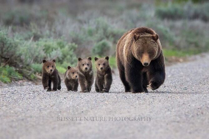 private-full-day-grand-teton-national-park-tour-with-picnic-lunch