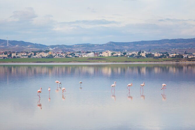 private-full-day-tour-in-larnaca-with-hotel-pick-up
