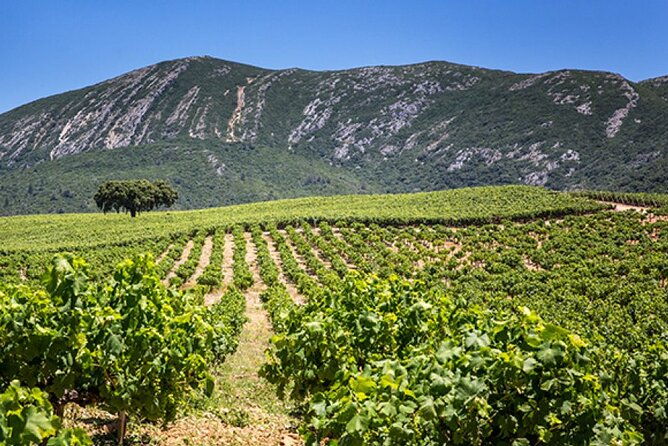 private-full-day-tour-through-sesimbra-and-arrabida