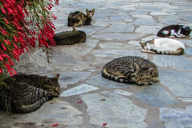 private-full-day-tour-to-cyprus-monasteries