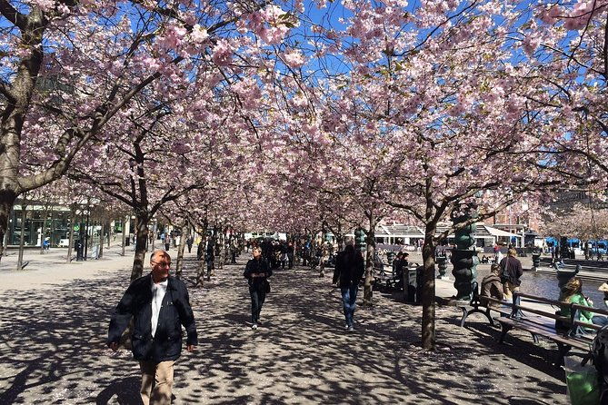 private-full-day-vip-city-tour-by-limousine-car-in-stockholm