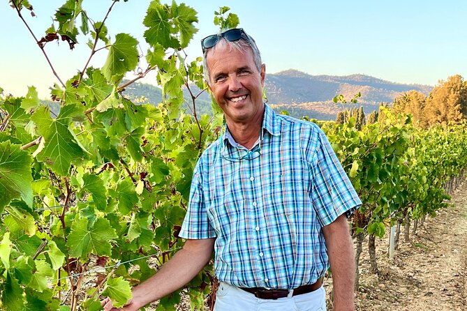 private-full-day-wine-tour-in-provence-from-toulon-cruise-port