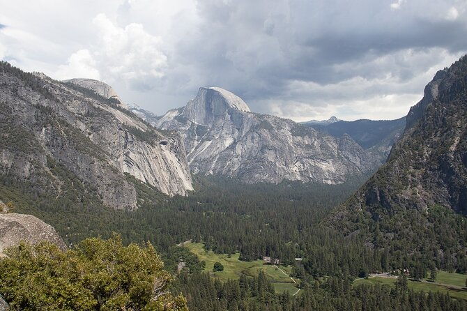 private-giant-sequoia-grove-hike