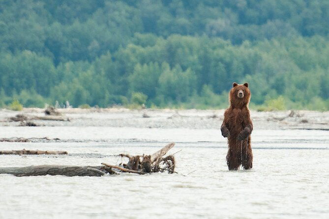 private-group-eagle-preserve-float-trip-in-haines
