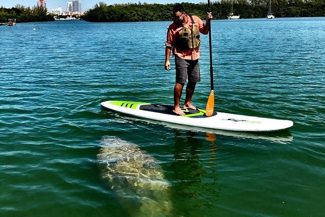 private-guided-kayak-or-sup-eco-adventure