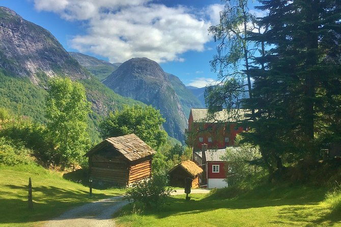 private-guided-tour-world-heritage-fjord-landscape-viking-special-from-flam