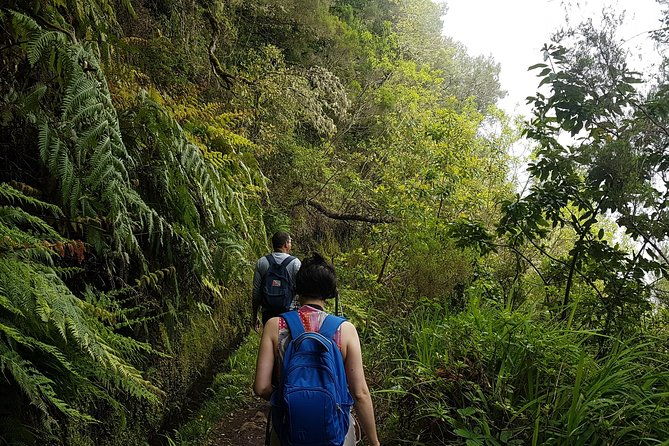private-guided-walk-levada-caldeirao-verde