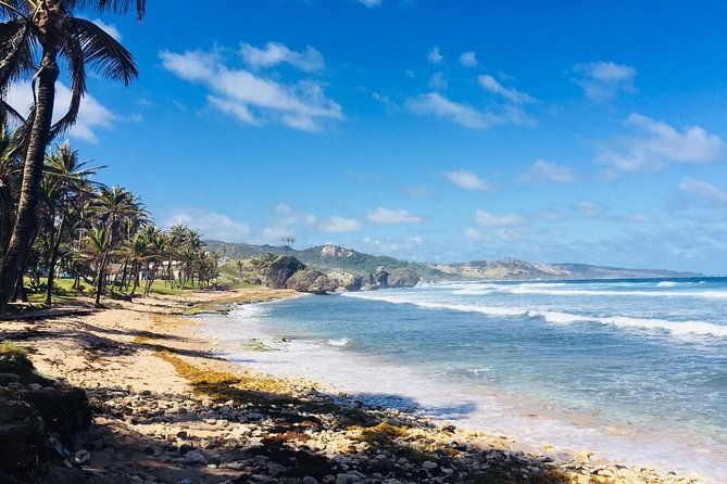 private-half-day-barbados-excursion-with-entrance-fee-discounts