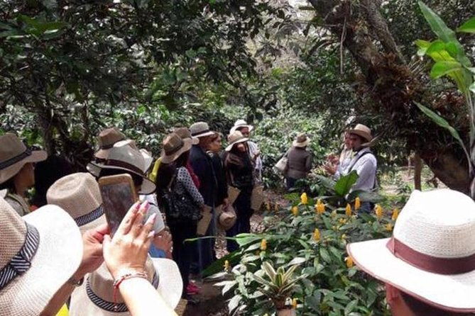 private-half-day-coffee-rum-tour-from-bogota