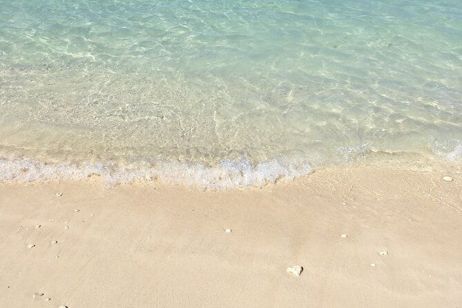 private-half-day-motorboat-tour-to-rose-island-beach-to-snorkel-a-coral-reef