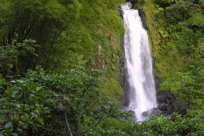 private-half-day-tour-of-roseaus-natural-beauty