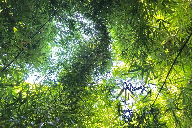 private-halfway-to-hana-tour