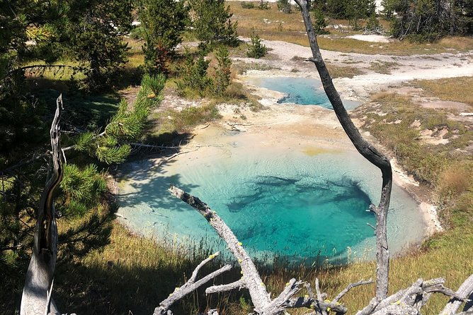 private-hidden-gems-of-yellowstone-lunch-w-family-friendly-hikes-included-2