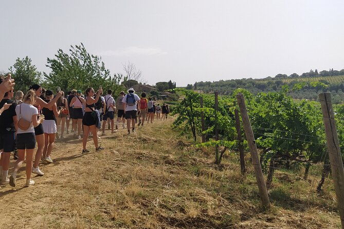 private-hike-and-wine-experiences-in-chianti