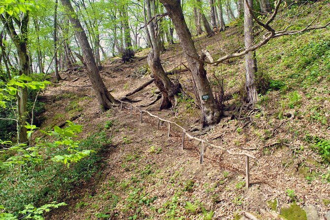 private-hiking-tour-to-machakhela-national-park-from-batumi