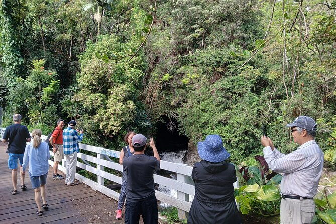 private-hilo-shore-excursion-volcano-national-park-up-to-14