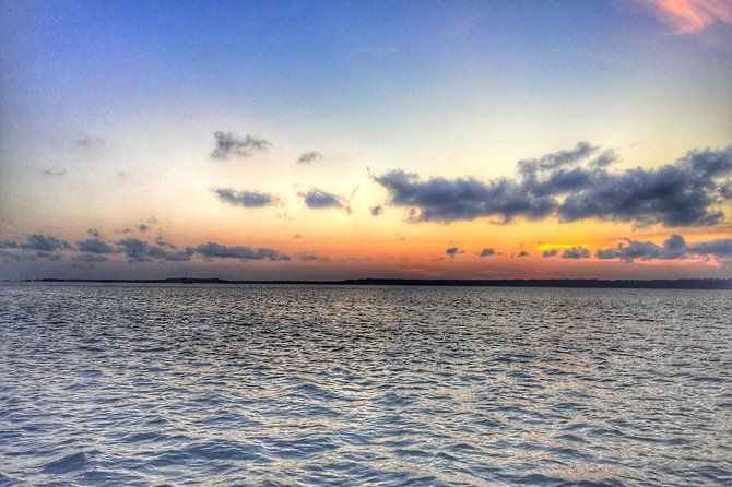 private-hilton-head-dolphin-tour-with-waterfront-dining-stop