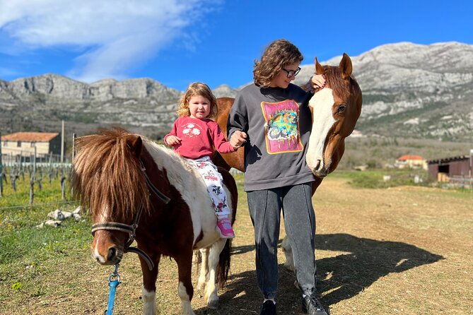 private-horseback-riding-and-family-time-in-konavle-region