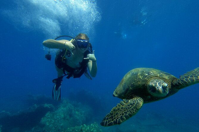 private-intro-scuba-adventure-2