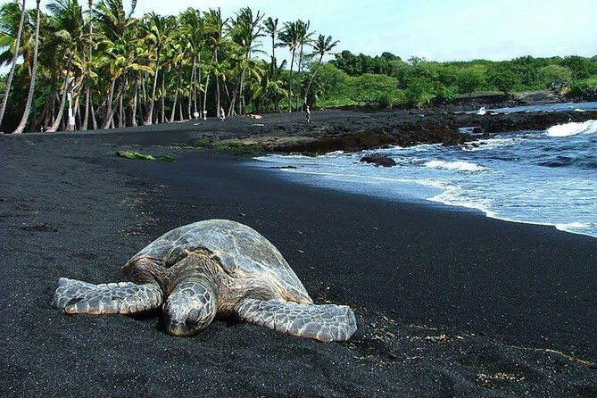 private-island-tour-in-hawaii-with-pickup-included-2
