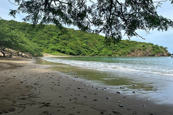 private-jungle-beach-atv-tour-guided-by-kenneth