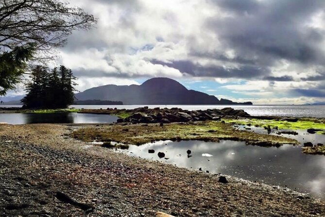 private-ketchikan-city-totems-wildlife-van-tour