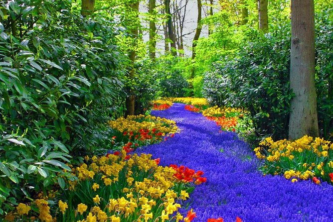 private-keukenhof-tulip-fields-tour-from-amsterdamskip-the-line-2