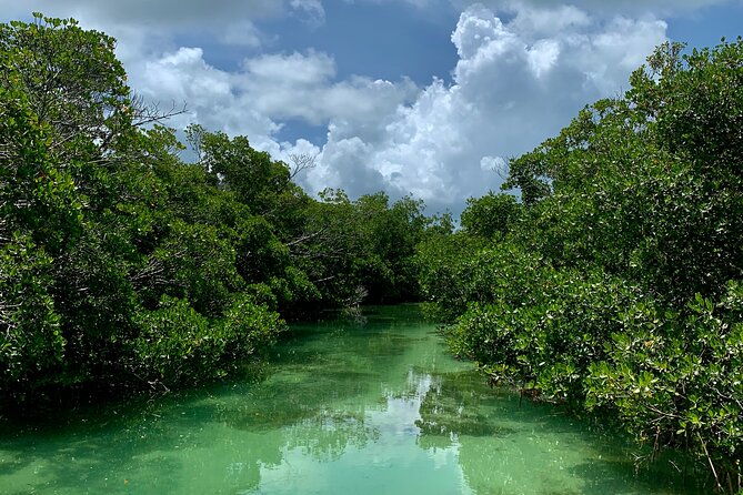private-key-west-sandbar-and-paddle-by-boat